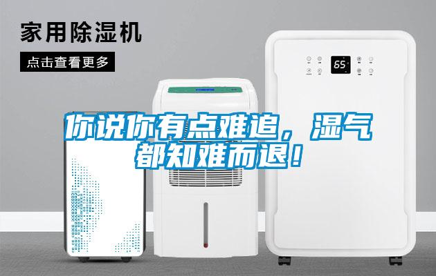 你說你有點難追，濕氣都知難而退！