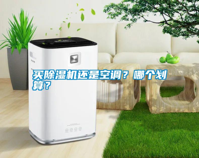 買91看片网站视频機還是空調？哪個劃算？
