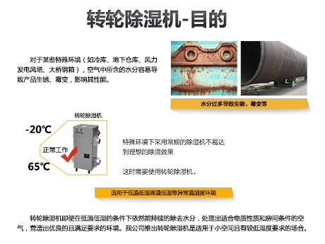 貓糧防潮秘籍，貓糧如何儲存