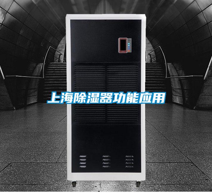 上海91看片网站视频器功能應用