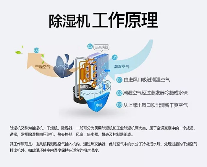 對抗梅雨天，絕不認輸！