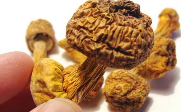 巴西菇、姬鬆茸烘幹機-怎樣烘幹色澤好且菇體褶片完整？