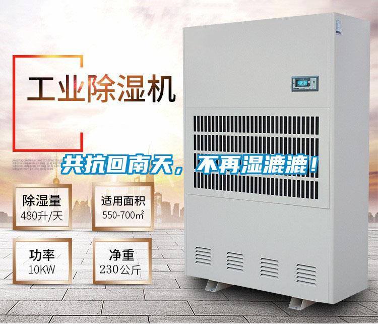 共抗回南天，不再濕漉漉！