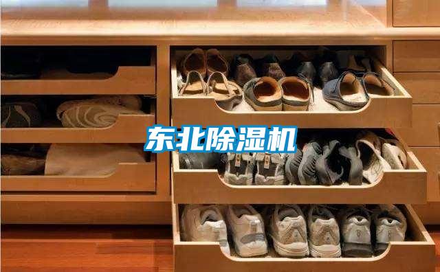 東北91看片网站视频機