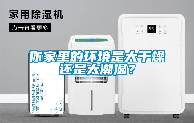 你家裏的環境是太幹燥還是太潮濕？
