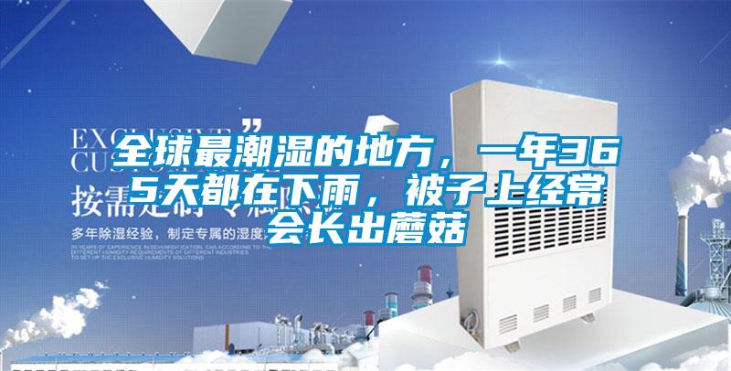 全球最潮濕的地方，一年365天都在下雨，被子上經常會長出蘑菇