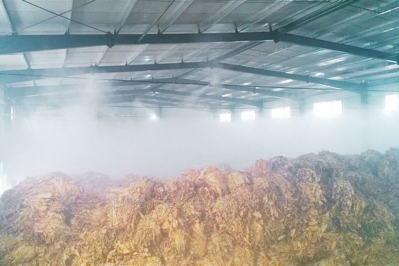提升煙葉加工質量，高效回潮很重要