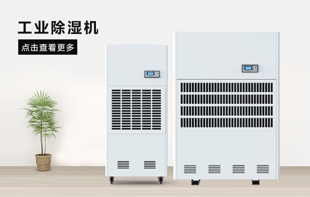 烘幹芒果，芒果幹更省心