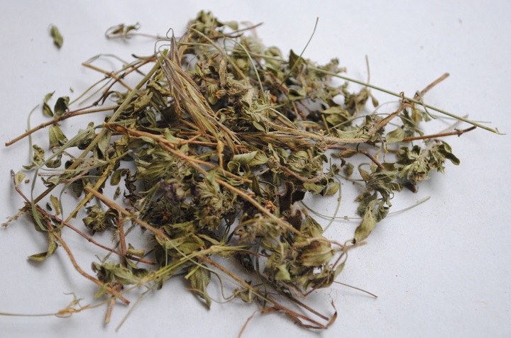 在线看片网址烘幹機