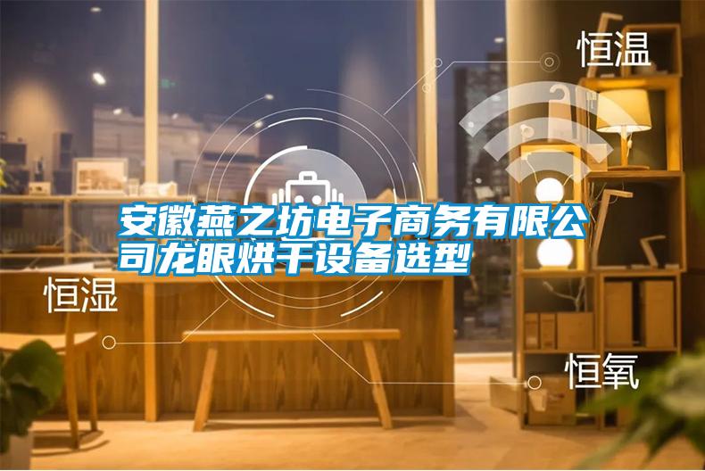 安徽燕之坊電子商務有限公司龍眼烘幹設備選型