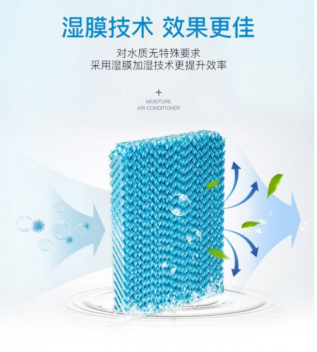 春天潮濕，教你家居防黴妙法