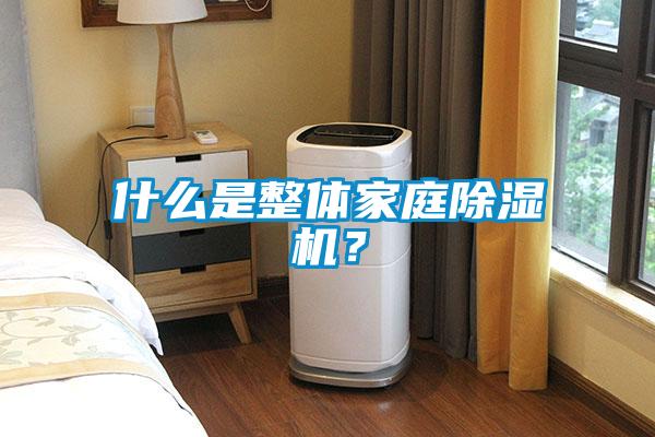 什麽是整體家庭91看片网站视频機？
