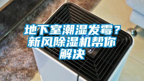 地下室潮濕發黴？新風91看片网站视频機幫你解決