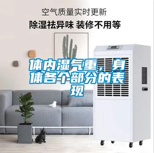 體內濕氣重，身體各個部分的表現