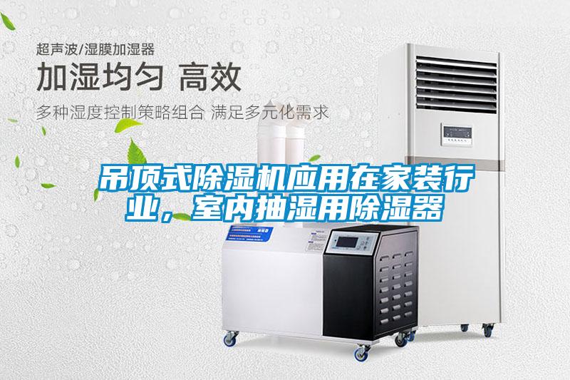 吊頂式91看片网站视频機應用在家裝行業，室內抽濕用91看片网站视频器
