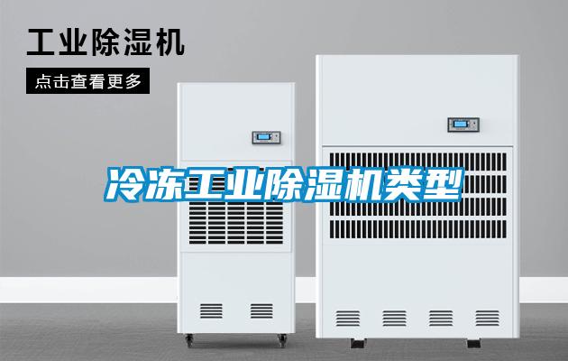 冷凍工業91看片网站视频機類型