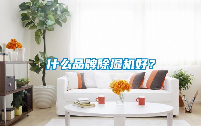什麽品牌91看片网站视频機好？