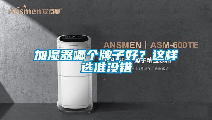 加濕器哪個牌子好？這樣選準沒錯