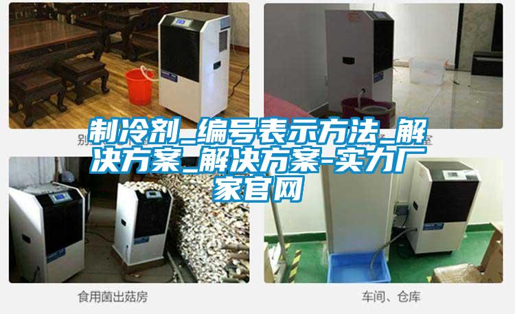 製冷劑_編號表示方法_解決看片网站入口_解決看片网站入口-實力廠家官網