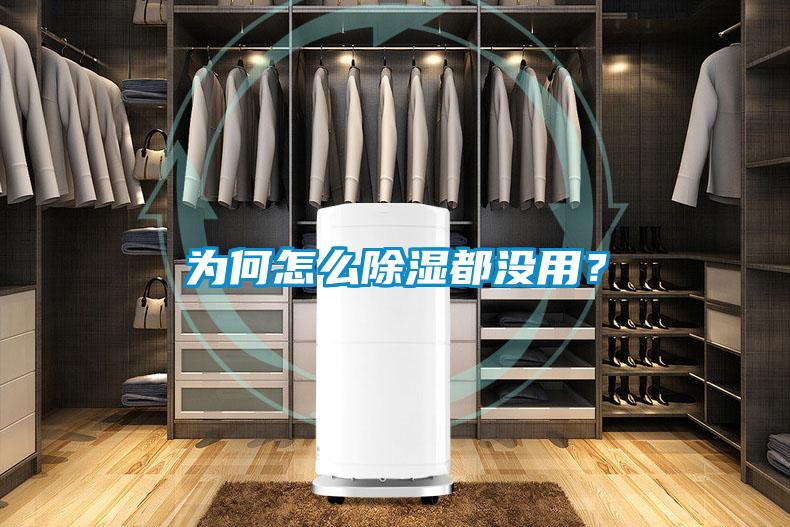 為何怎麽91看片网站视频都沒用？