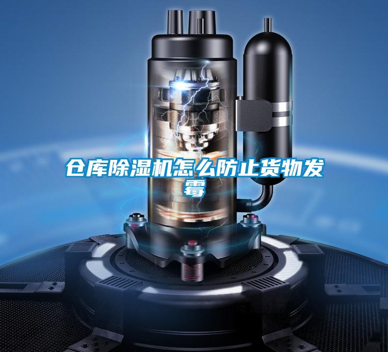 倉庫91看片网站视频機怎麽防止貨物發黴