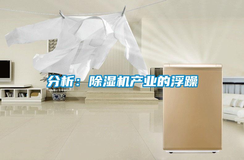 分析：91看片网站视频機產業的浮躁