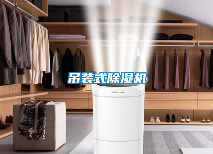 吊裝式91看片网站视频機