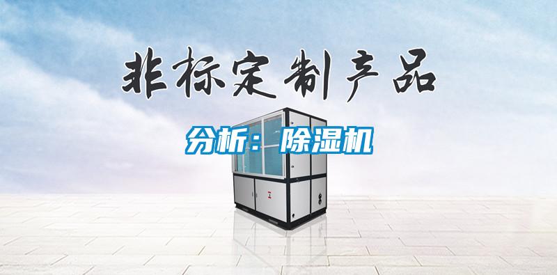 分析：91看片网站视频機