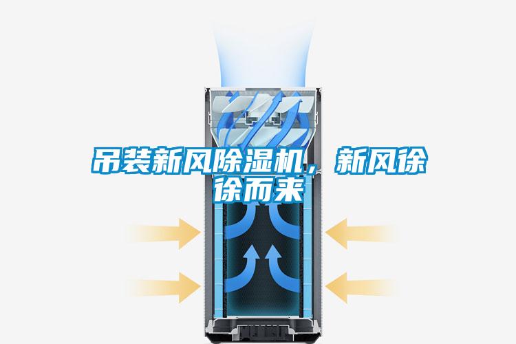 吊裝新風91看片网站视频機，新風徐徐而來