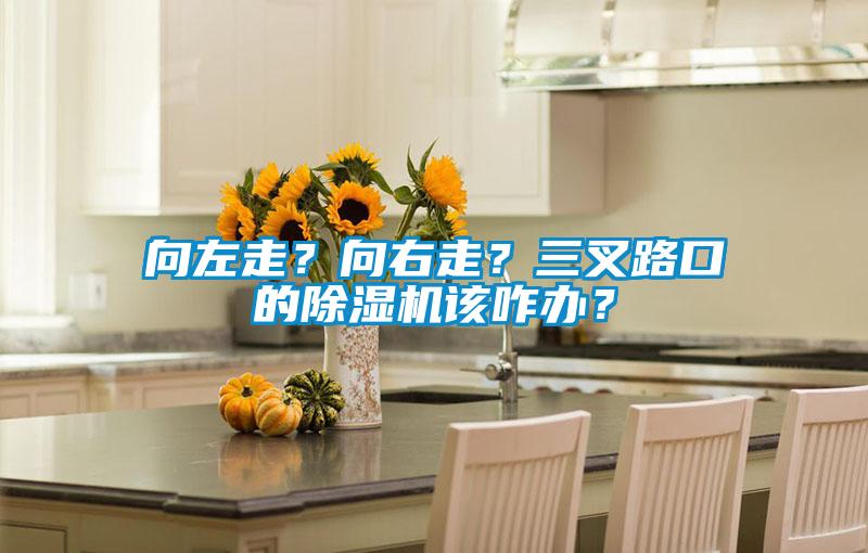 向左走？向右走？三叉路口的91看片网站视频機該咋辦？