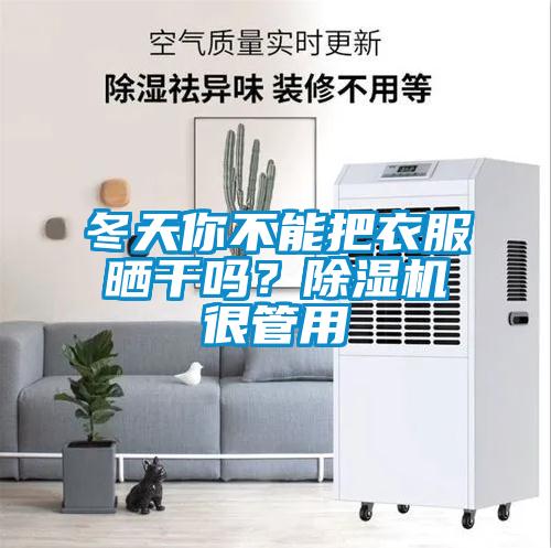 冬天你不能把衣服曬幹嗎？91看片网站视频機很管用