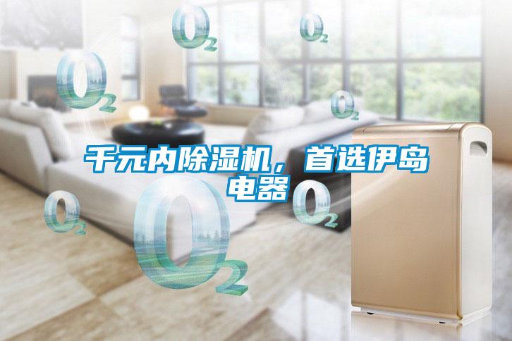 千元內91看片网站视频機，首選伊島電器