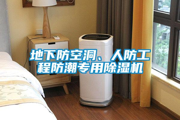 地下防空洞、人防工程防潮專用91看片网站视频機