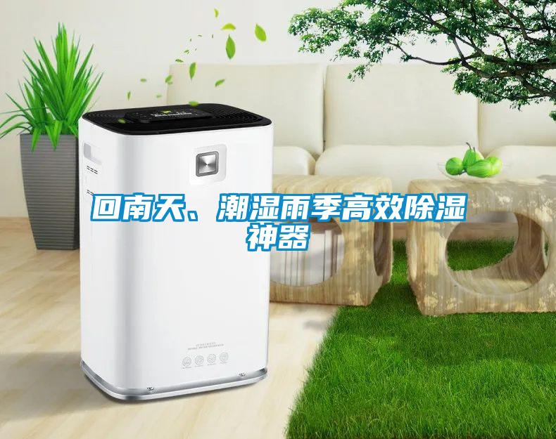 回南天、潮濕雨季高效91看片网站视频神器
