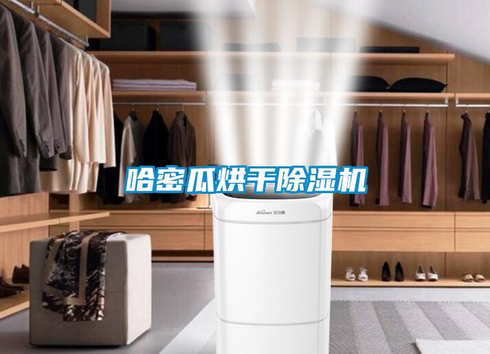 哈密瓜烘幹91看片网站视频機