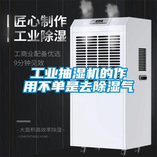 工業抽濕機的作用不單是去91看片网站视频氣