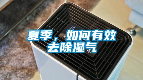 夏季，如何有效去91看片网站视频氣
