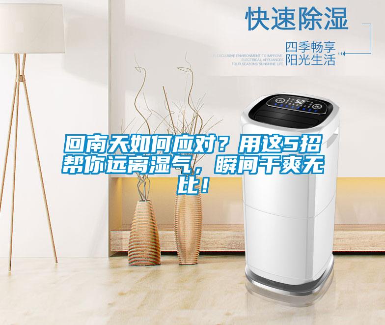 回南天如何應對？用這5招幫你遠離濕氣，瞬間幹爽無比！