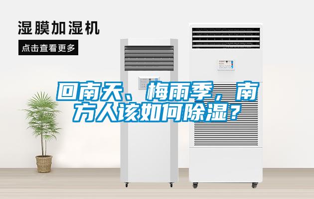 回南天、梅雨季，南方人該如何91看片网站视频？