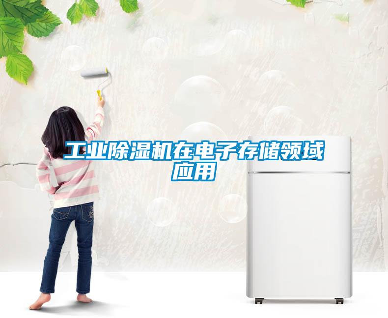 工業91看片网站视频機在電子存儲領域應用
