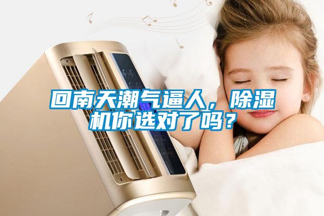 回南天潮氣逼人，91看片网站视频機你選對了嗎？