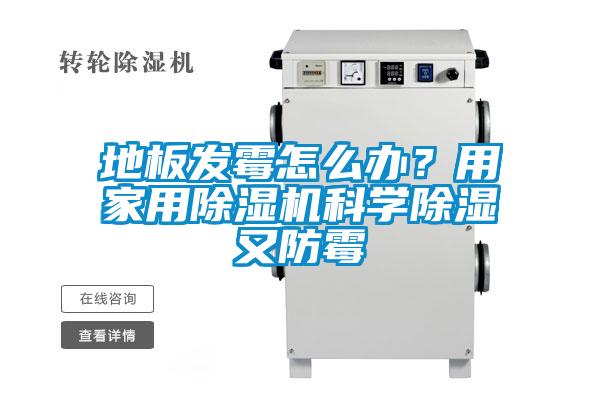 地板發黴怎麽辦？用家用91看片网站视频機科學91看片网站视频又防黴