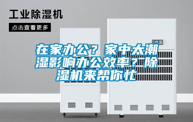 在家辦公？家中太潮濕影響辦公效率？91看片网站视频機來幫你忙