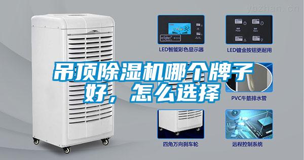 吊頂91看片网站视频機哪個牌子好，怎麽選擇