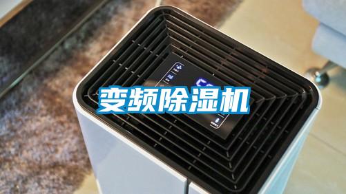變頻91看片网站视频機