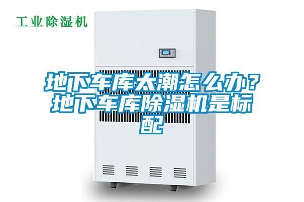 地下車庫太潮怎麽辦？地下車庫91看片网站视频機是標配