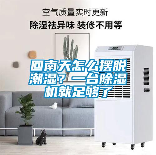 回南天怎麽擺脫潮濕？一台91看片网站视频機就足夠了