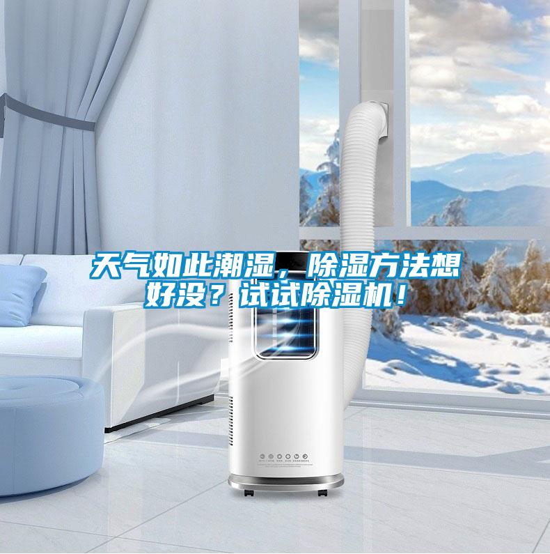 天氣如此潮濕，91看片网站视频方法想好沒？試試91看片网站视频機！