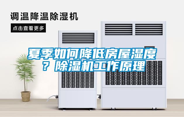 夏季如何降低房屋濕度？91看片网站视频機工作原理