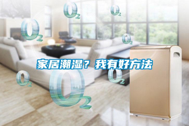 家居潮濕？我有好方法